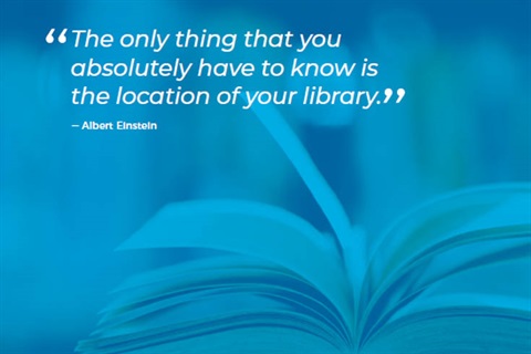 Library Action Plan quote