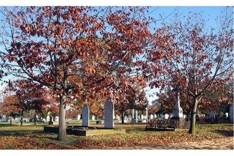 Oakleigh Cemetery