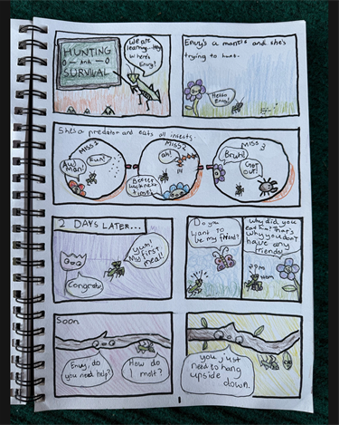 comic book competition category b first place