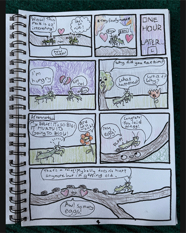 comic book competition category b first place