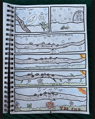 comic book competition category b first place