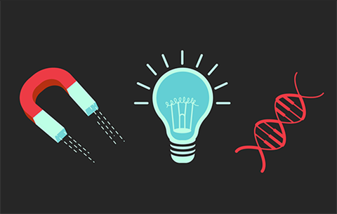 an illustration of a magnet, a light bulb and a DNA strand