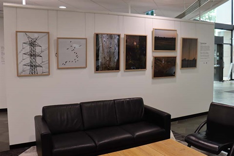 Forvevermore at Civic Gallery by Matthew Peter KARAK and Wilhelm PHILIPP courtesy of the artists.