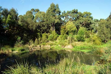 Bogong Reserve lake