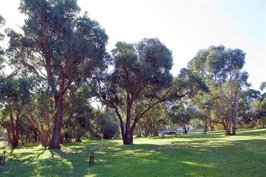 Bogong Reserve park