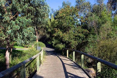Bogong Reserve pathway