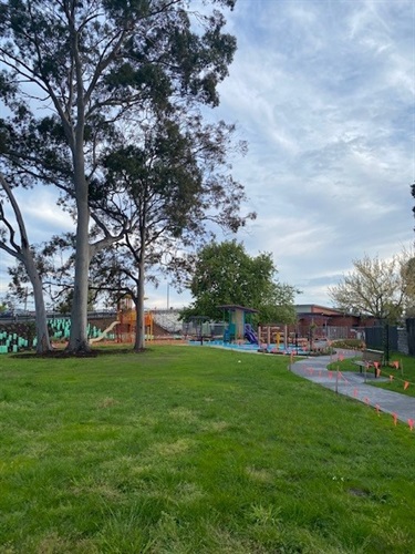 Cambridge Street Reserve