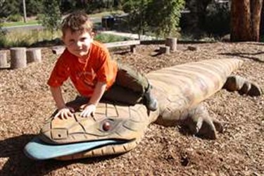 Damper Creek Reserve playground