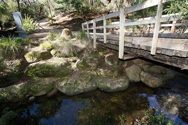 Damper Creek Reserve creek bridge