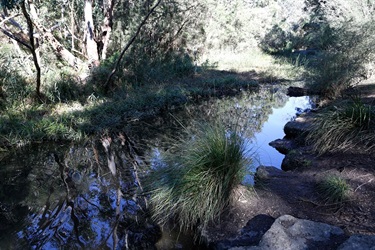 Damper Creek Reserve creek