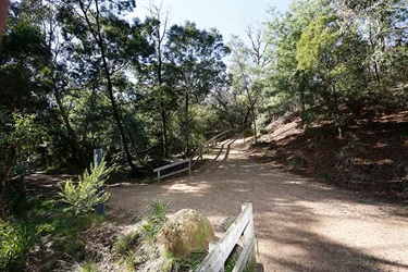 Damper Creek Reserve path