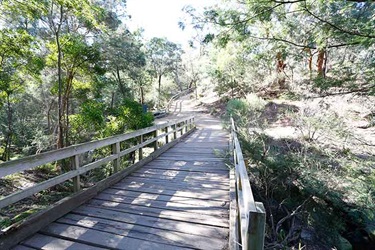 Damper Creek Reserve path