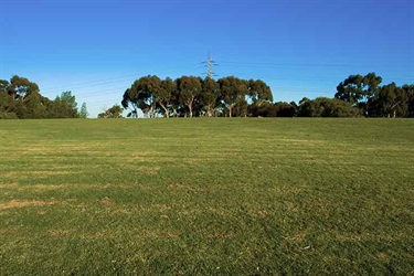 Gladeswood Reserve open space