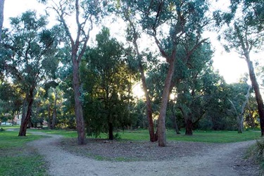 Hinkler Reserve path