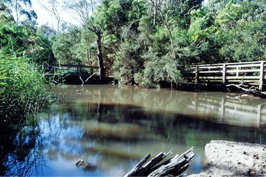 Valley Reserve creek