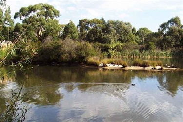 Valley Reserve lake