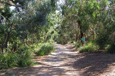 Valley Reserve path
