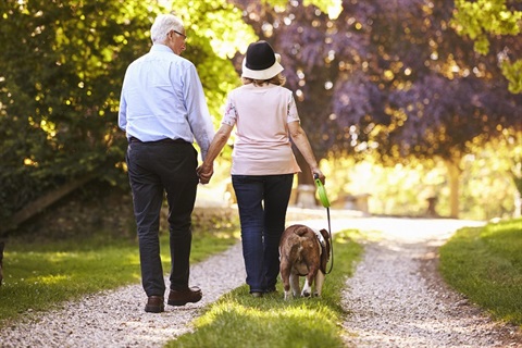 Older couple walking dog in park