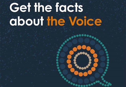 Get the facts about the voice