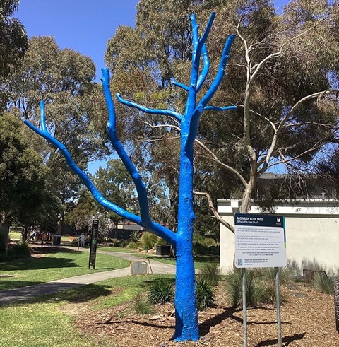 Monash Blue Tree