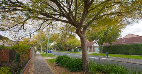 Neighborhood Street