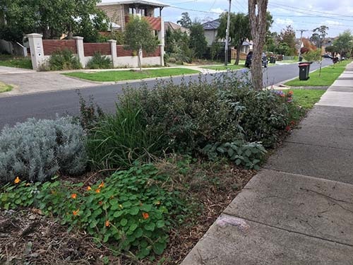 Planting on nature strips