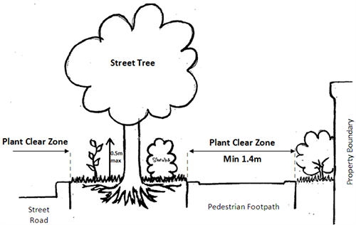 street tree drawing