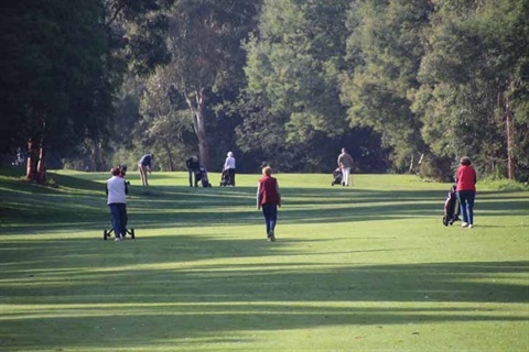 Golfers out on Oakleigh Golf Course