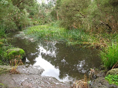 Damper Creek main pond