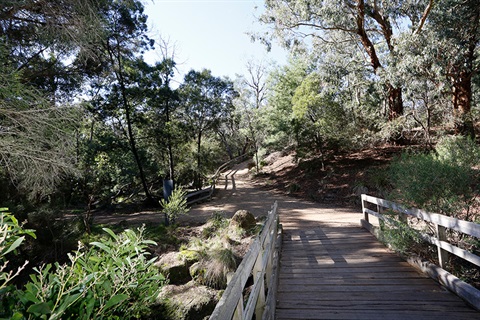 damper-creek-walking-trail.jpg