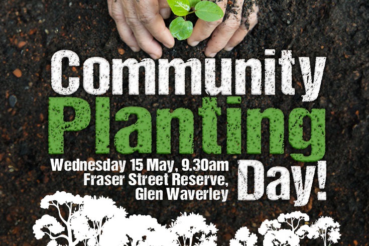 Tiny-Forest-Community-Planting-Day