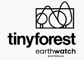 tiny forest earthwatch