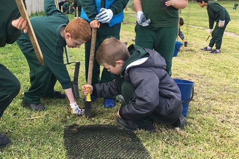 School children planting