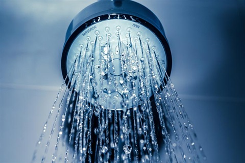 Running water coming out of a shower head
